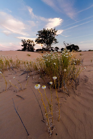 Perry Sand Hills, NSW