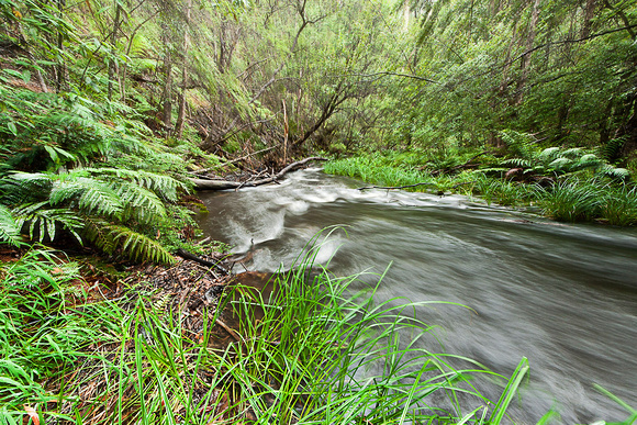 Upper Reaches of the Yarra, Warburton, Vic