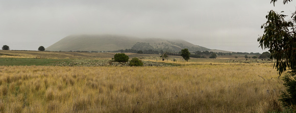Misty Mt Elephant, Vic (5xstitch)