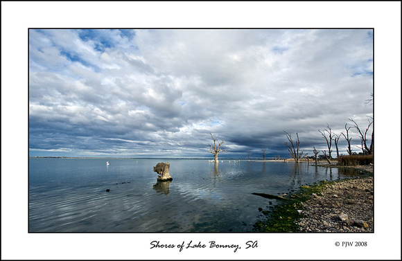 Lake Bonney, SA