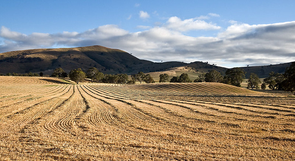 Farming Lines, Victoria