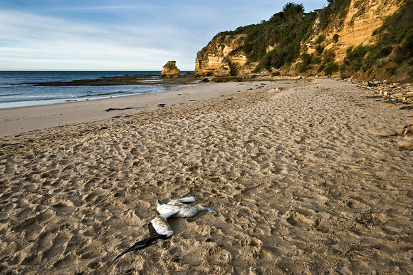 "A well trodden path to Death",Airey's Inlet, Vic