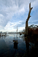 Outdoors-Victoria