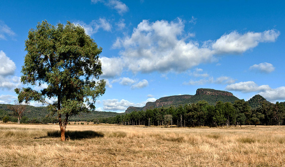 Wurrumbungle Ranges, NSW