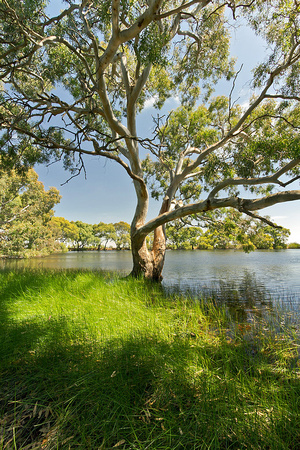 Rokewood Reservoir, Vic