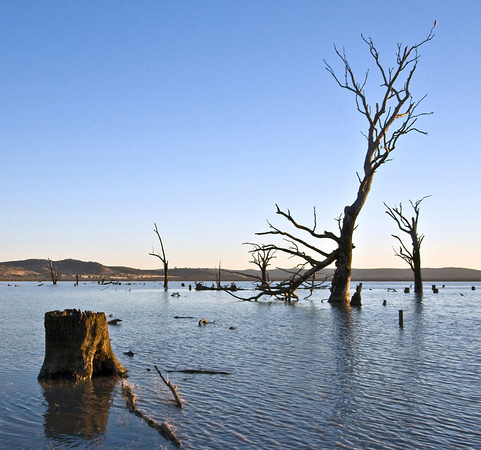 Lake Mokoan (Crop)