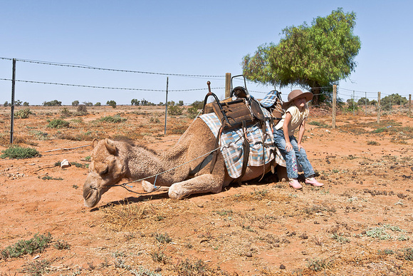 Camel Girl, Silverton, NSW